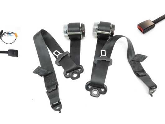 Rear Seat Belts image