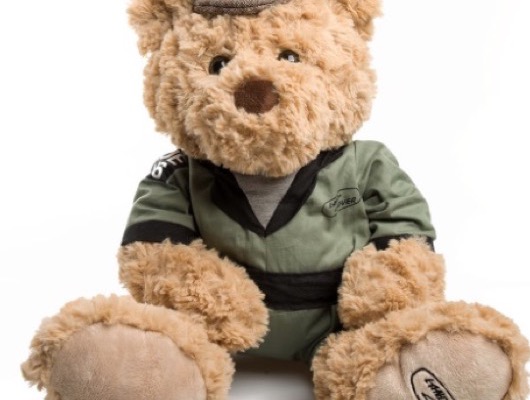 Teddy Bears image